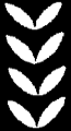 dos7277.gif